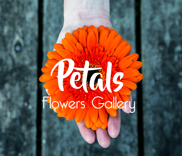 About-middle Florist in Dehradun