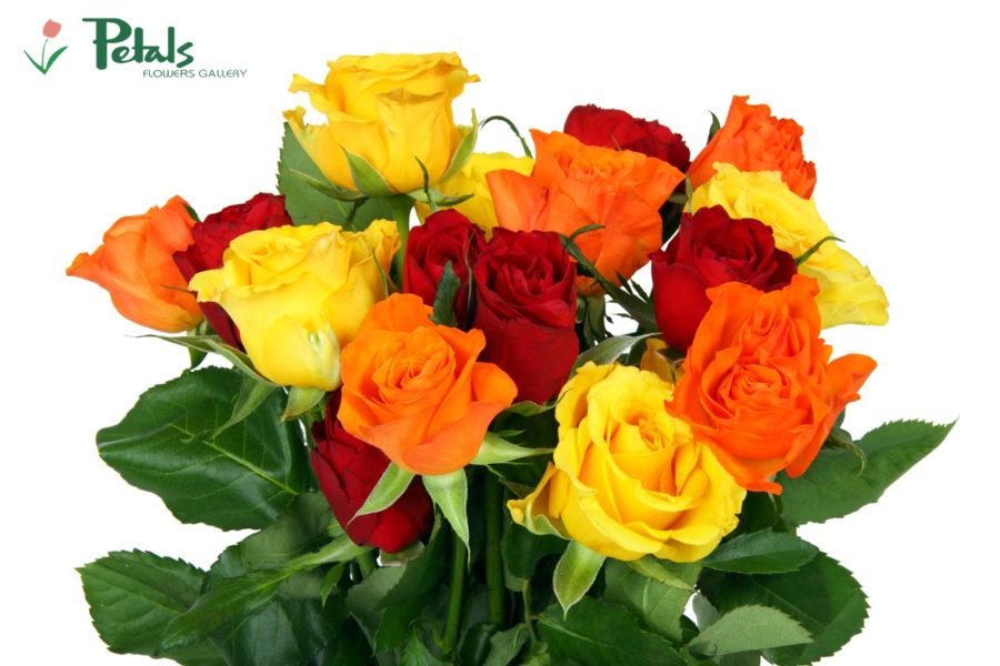 Top Summer Flower Delivery in Dehradun